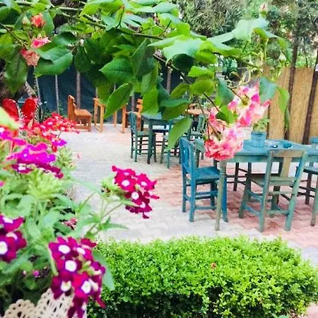 酒店 Cinili Konak