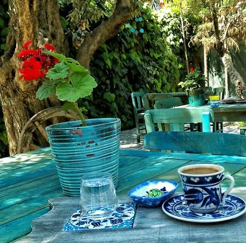 Cinili Konak מלון *