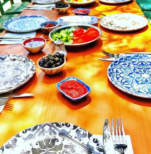 Cinili Konak מלון *