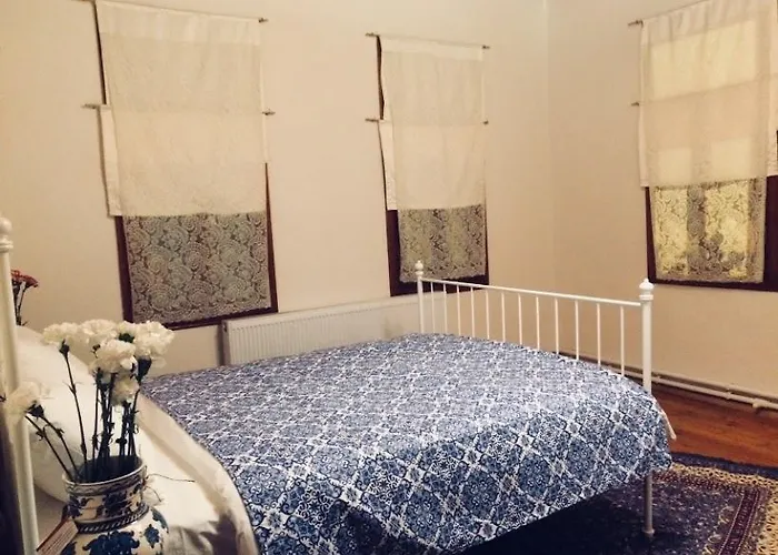 מלון Cinili Konak İznik