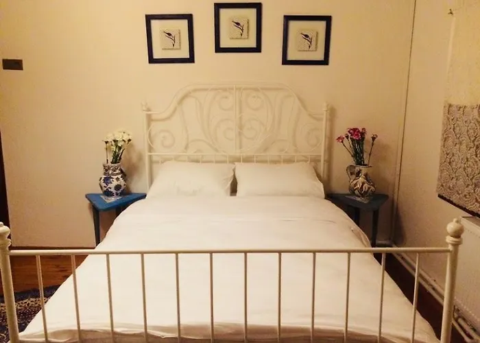 Cinili Konak מלון İznik