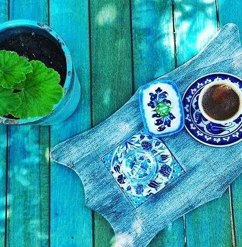 Cinili Konak מלון *